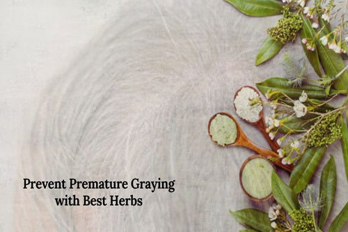 Ayurvedic herbs for preventing gray hair